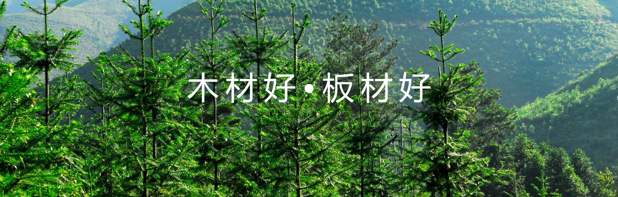 电竞竞猜